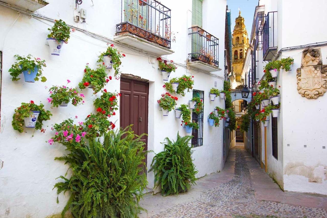 Tandem Torre De La Calahorra Apartment Cordoba Exterior photo